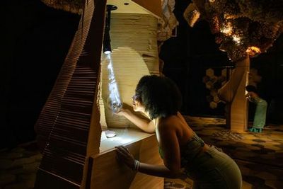 Аркадия-Эрт Торонто: входной билет в любое время - photo 3