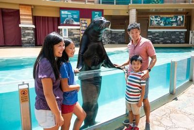 SeaWorld Орландо: входной билет с дополнительной быстрой очередью - photo 4