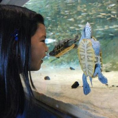 Научный центр Либерти: входной билет - photo 3