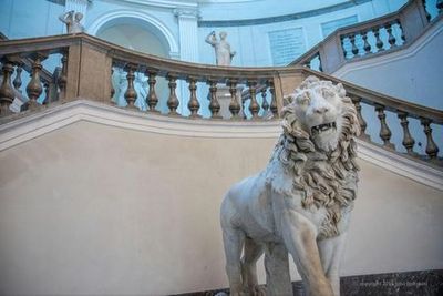 Национальный археологический музей Неаполя: Входной билет - photo 3