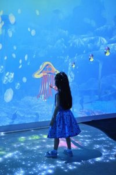 ЖИЗНЬ МОРЯ Мельбурнский аквариум: Входной билет - photo 4