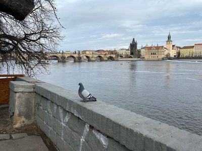 Prague: Central Gallery Ticket & City Walk Audio Tour - photo 4
