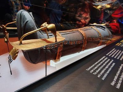 London Tour with Battersea Power Station Lift Ticket - photo 3