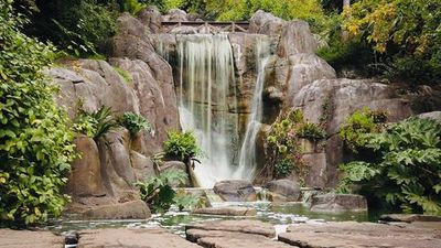 San Francisco: Golden Gate Park Audio Tour - photo 4