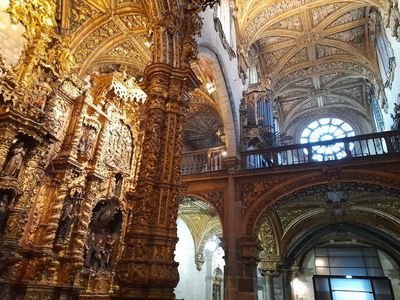 Discover Porto's Splendors with Serralves Foundation Ticket - photo 3