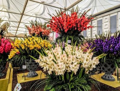 London Tour with Battersea Power Station Lift Ticket - photo 4