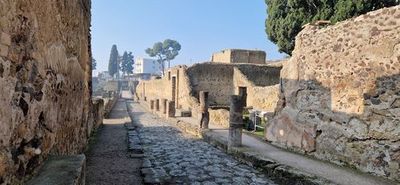 Ercolano: Herculaneum Park Ticket & City Explorer Audio Tour - photo 4
