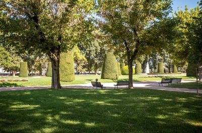 Mantua: Renaissance Splendor Audio Tour - photo 4