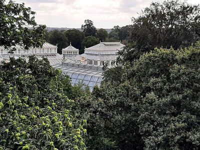 Brentford: Kew Gardens Enchanted Walk Audio Tour - photo 4