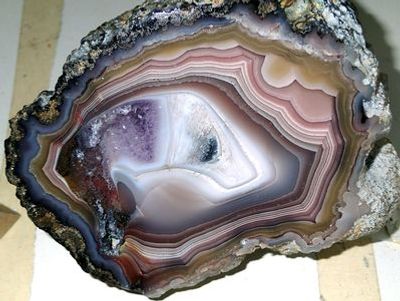 Denver: Museo della natura e della scienza: biglietto e audio tour - photo 3