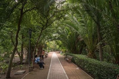 San Miguel de Allende: Downtown Discovery Audio Tour - photo 4