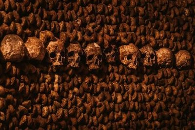 パリの地下墓地ツアー(チケット付き):地下の世界を探検 - photo 4