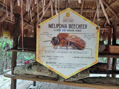 Cozumel: Echoes of Culture Audio Tour - photo 4