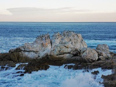 Hermanus: Coastal Wonders Audio Tour - photo 4