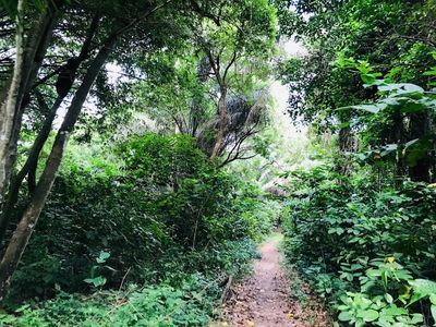 Kumasi: Vibrant Pulse Audio Tour - photo 4