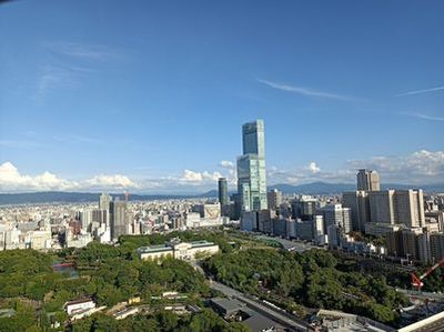 Osaka: Echoes of History Audio Tour - photo 3