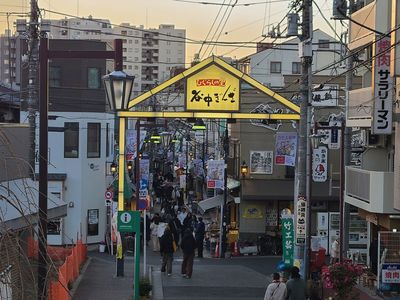 Tokyo: Echoes of Old Town Charms Audio Tour - photo 3