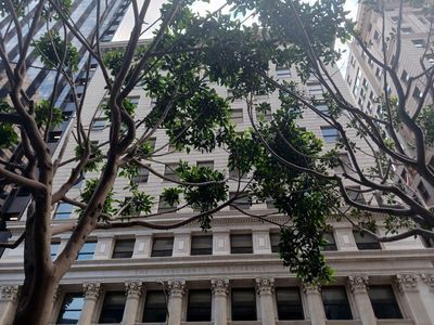 Unearth Architectural Gems: San Francisco Self-Guided Audio Tour - photo 4