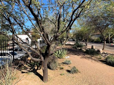 Tucson: Echoes of Spain Audio Tour - photo 4