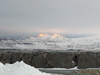 Reykjavik Highlights: A City Walking Adventure - photo 3
