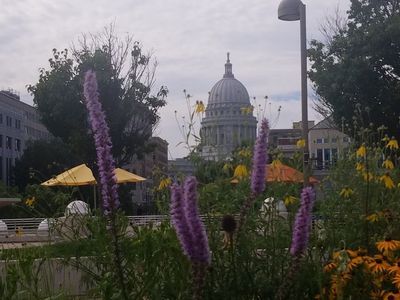 Madison: Echoes of Spirit Audio Tour - photo 3