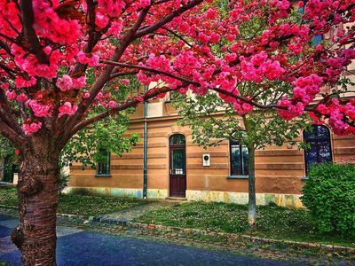 Explore Buda's Treasures: In-App Audio Tour with a Historian - photo 4