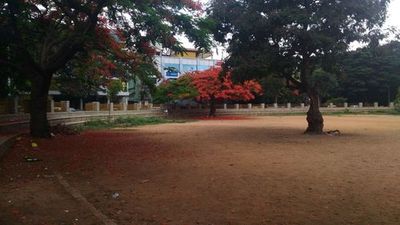 Bengaluru: Basavanagudi Cultural Vibrance Audio Tour - photo 3