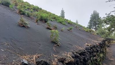 El Paso: Volcanic Majesty Audio Tour - photo 3