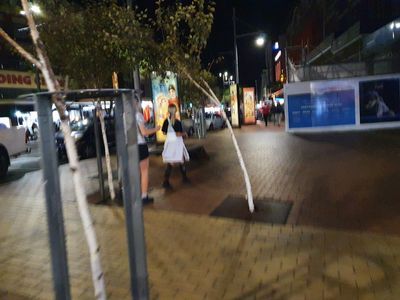 Wellington: Audio Tour - photo 4