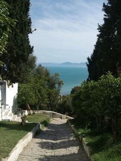 Carthage: a Self-Guided Audio Tour Through the Legacy of Hannibal Barca - photo 3