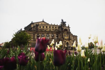 Dresden Walk: Semperoper, Frauenkirche, Zwinger, and many more
