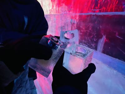 Berlin Icebar: Entrance Ticket