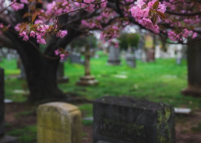 Washington D.C.: Congressional Cemetery Audio Tour - photo 2