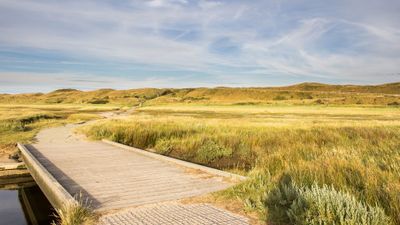 Den Burg: Texel Dunes Discovery Audio Tour