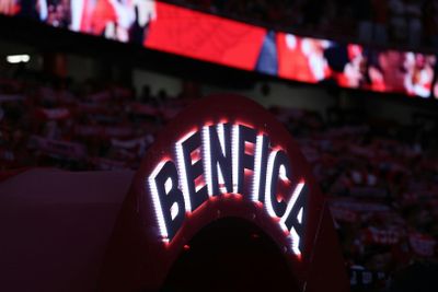 Билет на стадион Estádio da Luz + шарф - photo 2