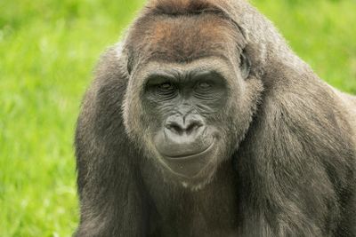 Зоопарк Франклин-Парк: Входной билет