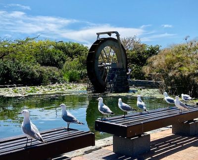 Cape Town: Green Point Park Adventure Audio Tour