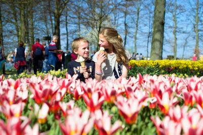Keukenhof: Entry + Return Bus Transfer from A’dam Tower - photo 2