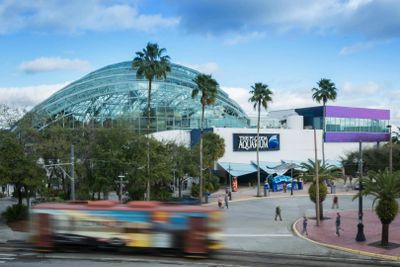 The Florida Aquarium: Entry Ticket