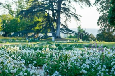 Domaine de Chaumont-sur-Loire: Skip The Line Ticket - photo 2