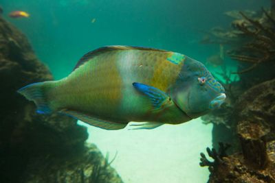 New York Aquarium: Entry Ticket - photo 2