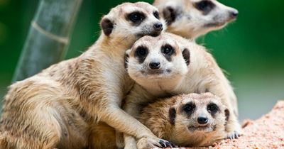 Terra Natura Murcia: Entry Ticket