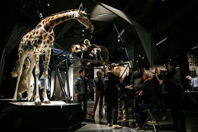 Musée des Confluences: Entry Ticket - photo 2