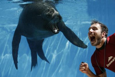 Zoomarine: Fast Track Ticket - photo 2