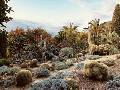 Marimurtra Botanical Garden: Entry Ticket - photo 2