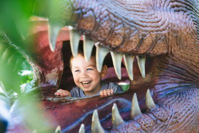 Dinosaur World Florida: Entry Ticket - photo 2