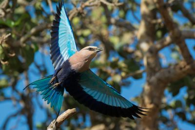 La Ferme aux Crocodiles: Entry Ticket - photo 2