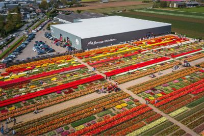 Tulip Experience Amsterdam: Entry Ticket - photo 2