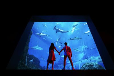 S.E.A. Aquarium™ Singapore: Entry Ticket - photo 2