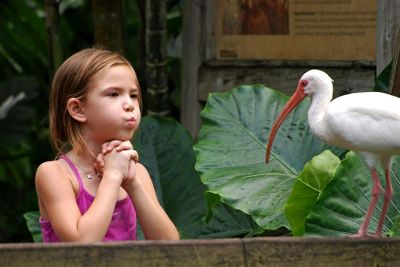 Flamingo Gardens: Skip The Line Ticket - photo 2